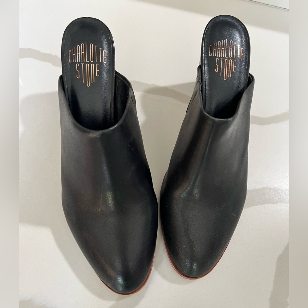 Charlotte Stone Luna mule